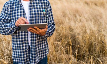 Produtores rurais passam a emitir títulos agrícolas eletrônicos