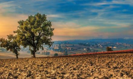 Conexão Agroclima: os desafios da safra 2020/2021