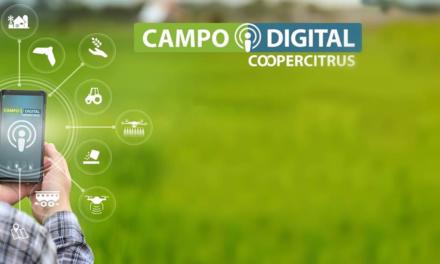 Coopercitrus Campo Digital: Soluções da agricultura 4.0 na palma da mão