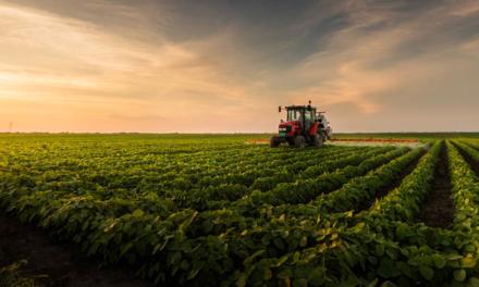 Veja números do agronegócio, motor do desenvolvimento do Brasil