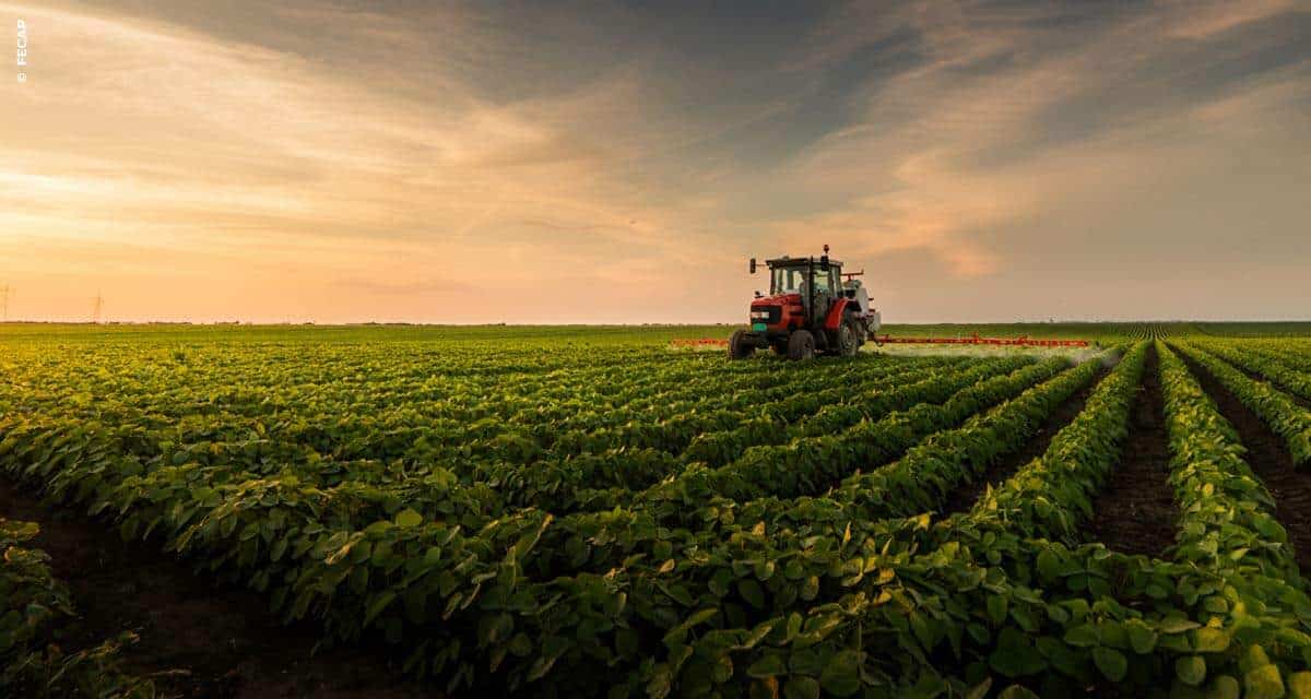 Veja números do agronegócio, motor do desenvolvimento do Brasil