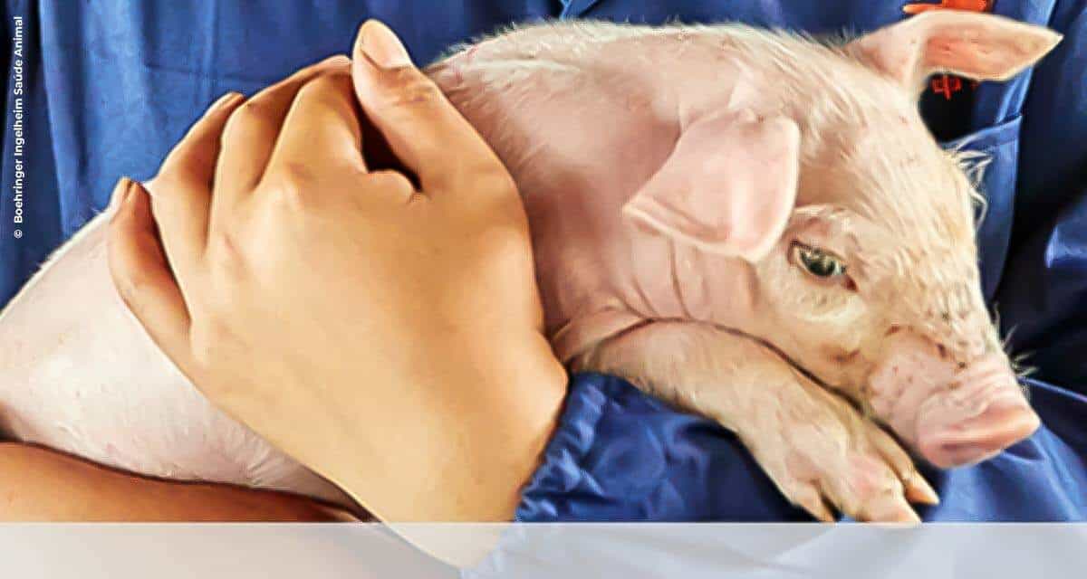 Em um mundo cada vez mais orientado por dados, Boehringer Ingelheim Saúde Animal vai da prevenção à previsão