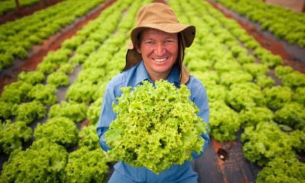 Comunicação do agro com a sociedade urbana ganha cada vez mais força