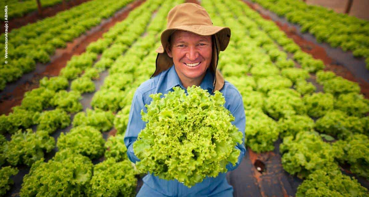 Comunicação do agro com a sociedade urbana ganha cada vez mais força