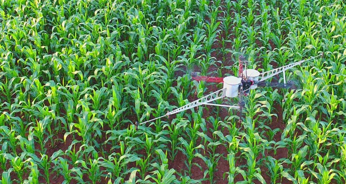 Startup brasileira de tecnologia para serviços agrícolas inicia operação de drones nos Estados Unidos
