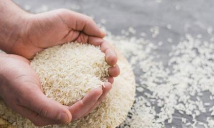 Quando o preço do arroz vai cair?