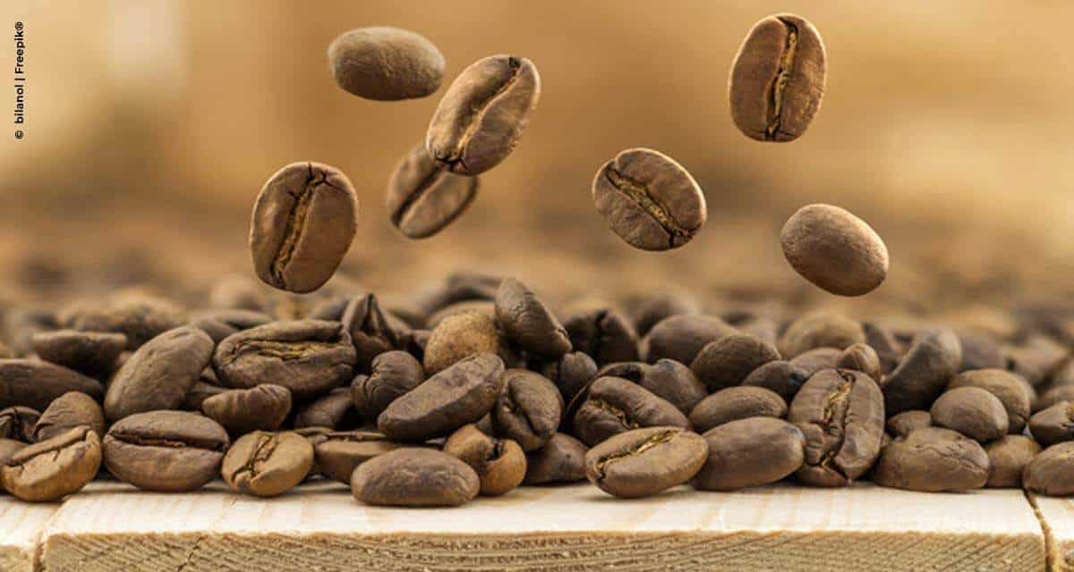 Exportações de café do Brasil atingem 3,3 milhões de sacas em agosto