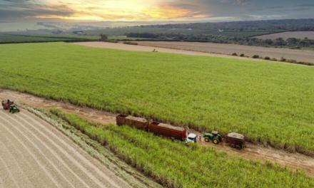 Biogás: fator de redução da pegada de carbono do setor sucroenergético