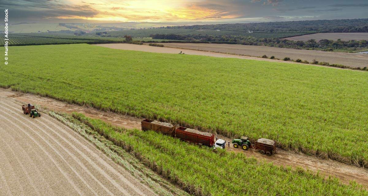 Biogás: fator de redução da pegada de carbono do setor sucroenergético