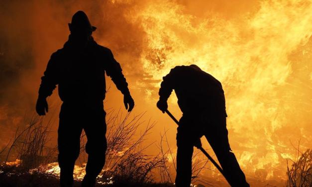 BP Bunge Bioenergia investe em equipes treinadas, tecnologia e equipamentos para prevenir incêndios