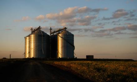 Certificação de armazéns evita perdas de grãos e agrega valor à produção agrícola