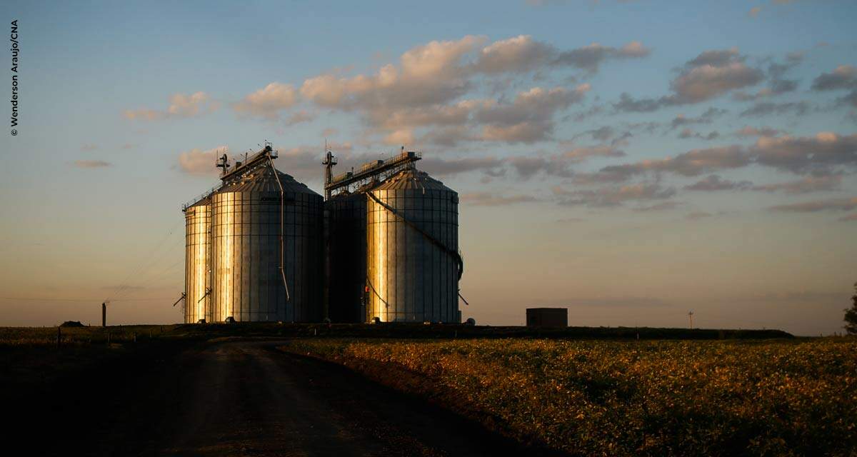 Certificação de armazéns evita perdas de grãos e agrega valor à produção agrícola