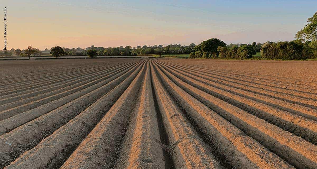 Novo fundo internacional financiará fazendas conforme índices certificados de sustentabilidade