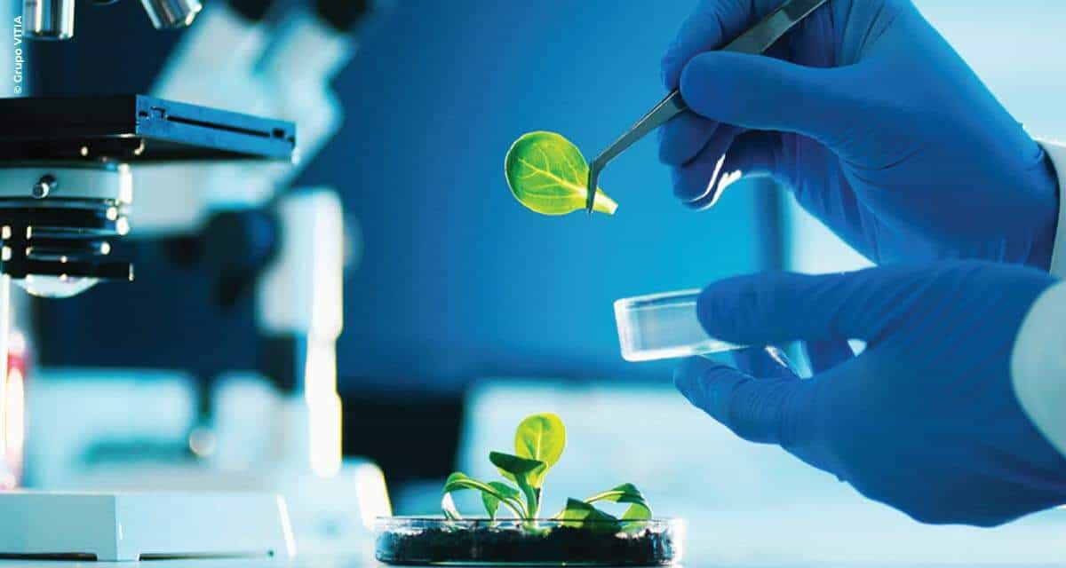 Grupo Vittia anuncia aquisição da Vitória Fertilizantes