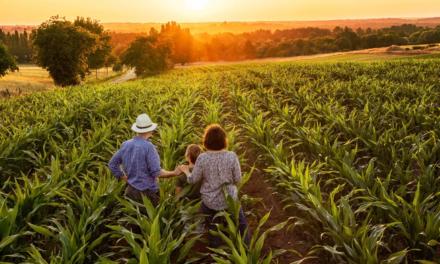 Nova prorrogação do vencimento das DAPs auxiliará milhares de agricultores familiares e outras categorias produtivas