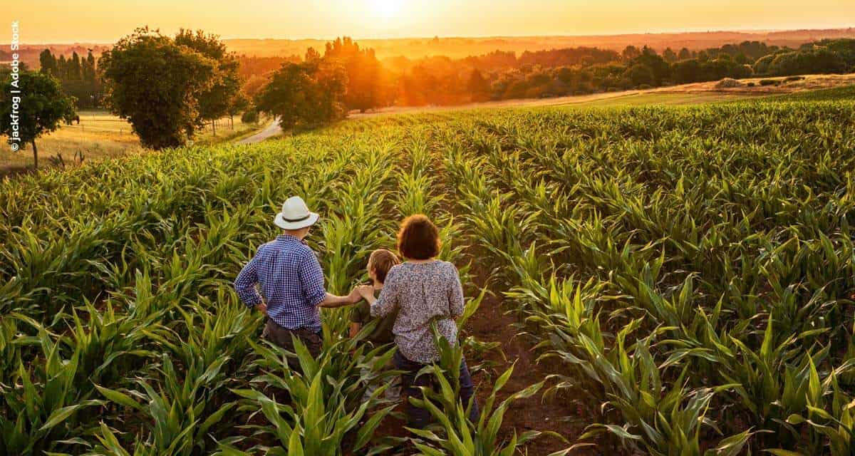 Nova prorrogação do vencimento das DAPs auxiliará milhares de agricultores familiares e outras categorias produtivas