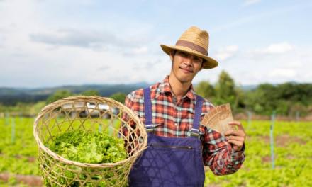 A reforma tributária e os impactos na agricultura familiar