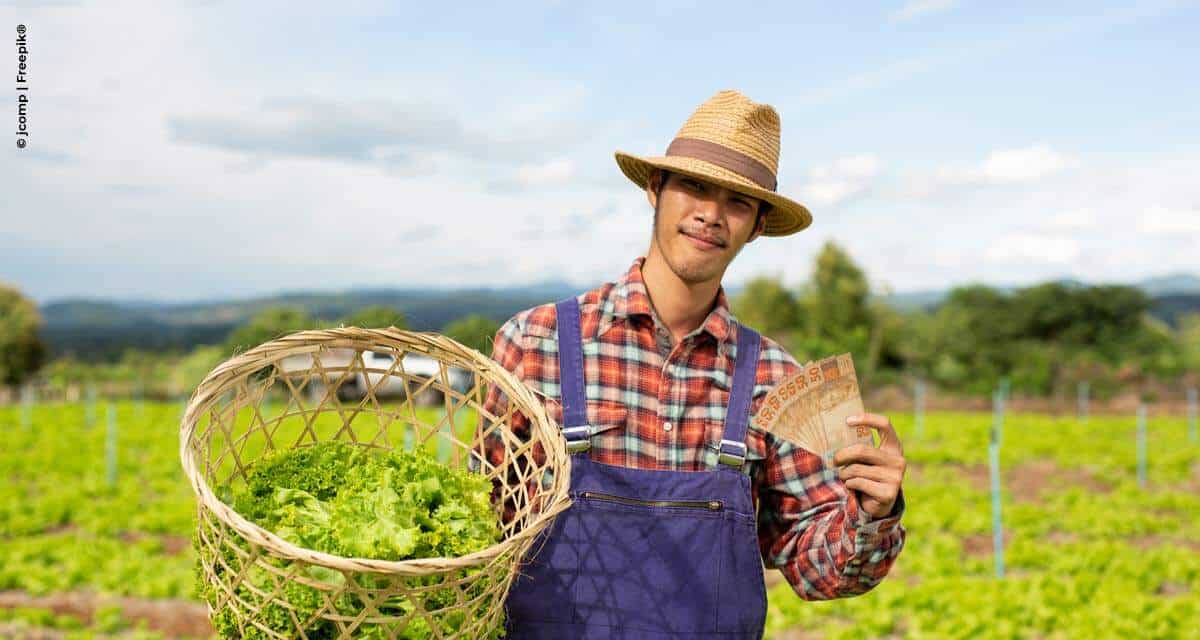 A reforma tributária e os impactos na agricultura familiar