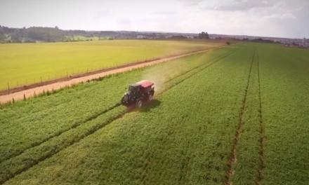 Nutrien adquire ativos da BRA Agroquímica no Brasil