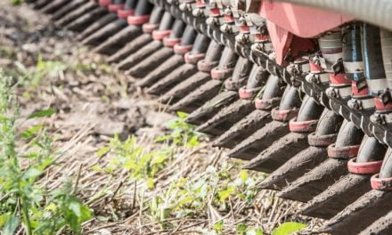 Quais os principais mecanismos de defesa da planta?