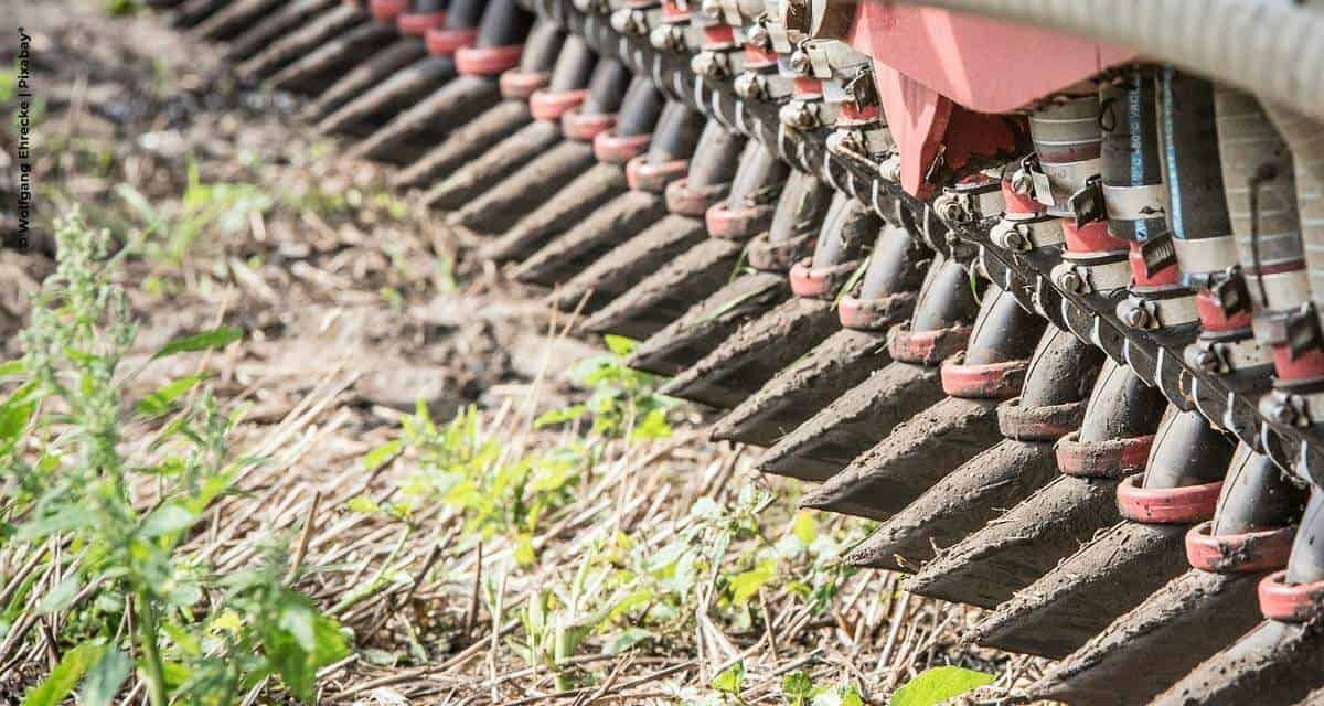 Quais os principais mecanismos de defesa da planta?