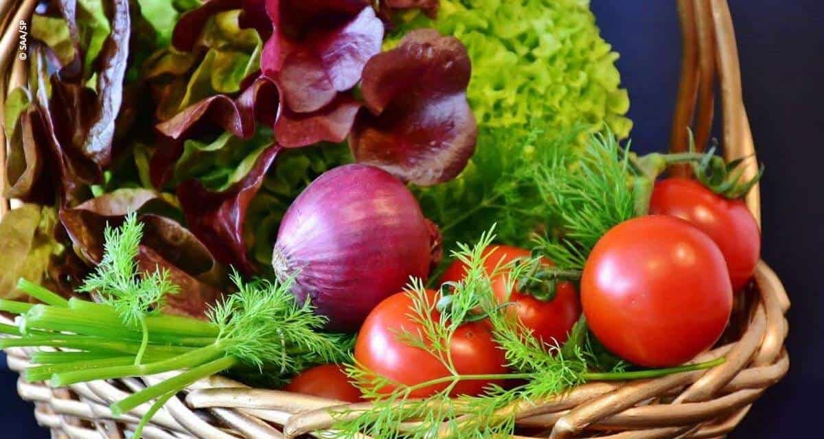 Produção diversificada de hortaliças garante renda ao produtor rural e nutrição ao consumidor