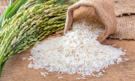 Sem cuidados, arroz custaria muito mais caro com a queda de produção