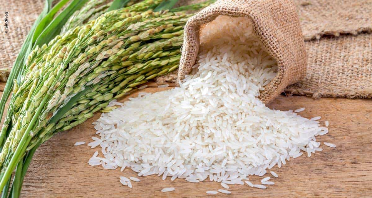 Sem cuidados, arroz custaria muito mais caro com a queda de produção