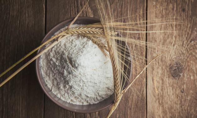 NOTA OFICIAL – Cultivo e utilização de trigo e farinha geneticamente modificado (trigo GM) pelo Brasil