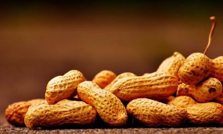 Setor de amendoim in natura tem balança comercial positiva no acumulado até setembro