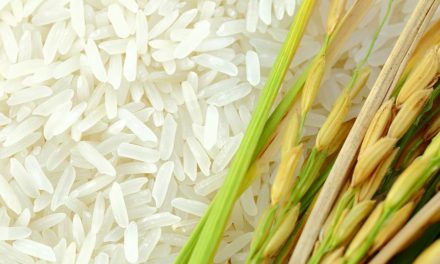 Preço do arroz sobe 65% em um ano e encabeça inflação da cesta da pandemia da FecomercioSP