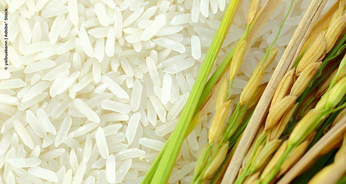 Preço do arroz sobe 65% em um ano e encabeça inflação da cesta da pandemia da FecomercioSP