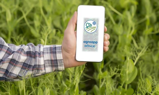 Bunge lança aplicativo de sustentabilidade para produtores rurais