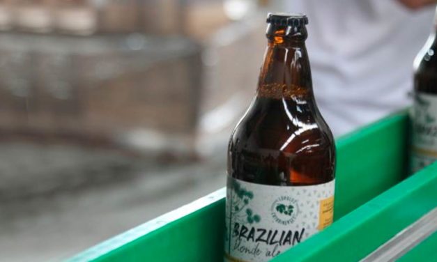 Ambev, Lohn Bier e microcervejarias catarinenses criam cerveja colaborativa com lúpulo nacional