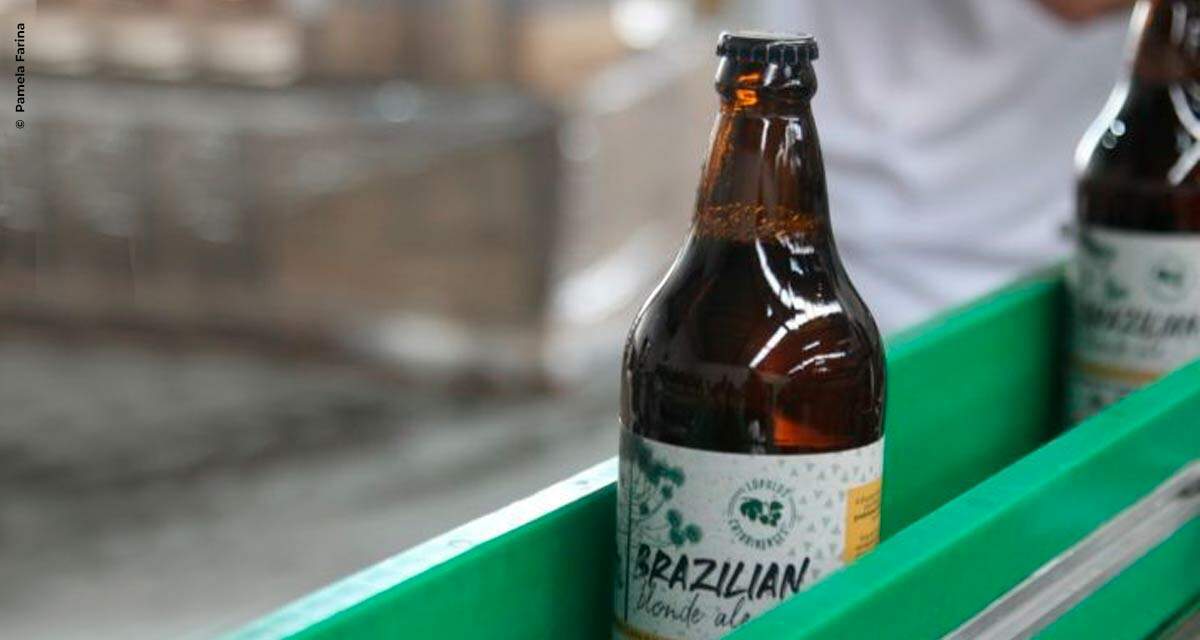 Ambev, Lohn Bier e microcervejarias catarinenses criam cerveja colaborativa com lúpulo nacional