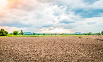 Seu solo está preparado para enfrentar desafios climáticos?