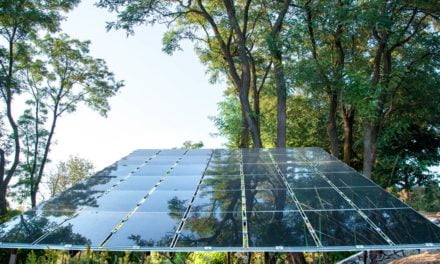 Pequenos empresários do agronegócio economizam até 90% com energia após instalação de sistemas fotovoltaicos