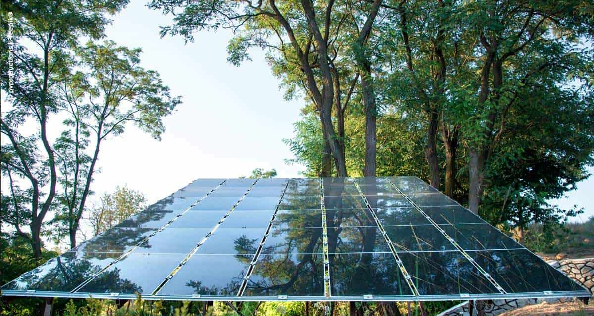 Pequenos empresários do agronegócio economizam até 90% com energia após instalação de sistemas fotovoltaicos