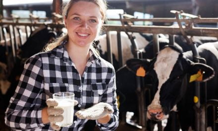 Seminário inédito discute a participação feminina na gestão da cadeia produtiva do leite brasileiro