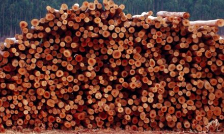 Uma surpresa positiva para o setor de preservação de madeira