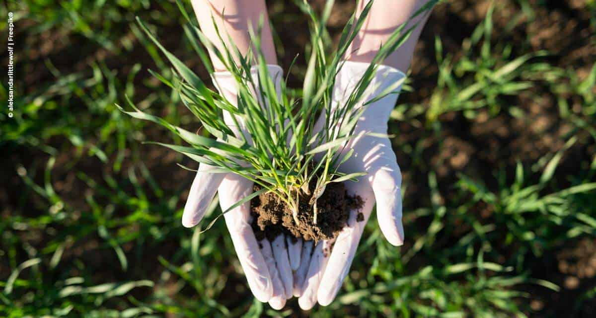 Mosaic Fertilizantes e Embrapa capacitam profissionais da assistência técnica rural para utilização de fertilizantes em pastagens