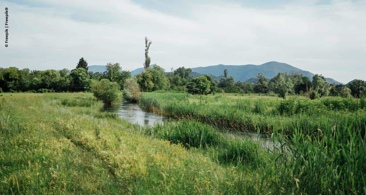 Bayer é líder em ranking referência de sustentabilidade