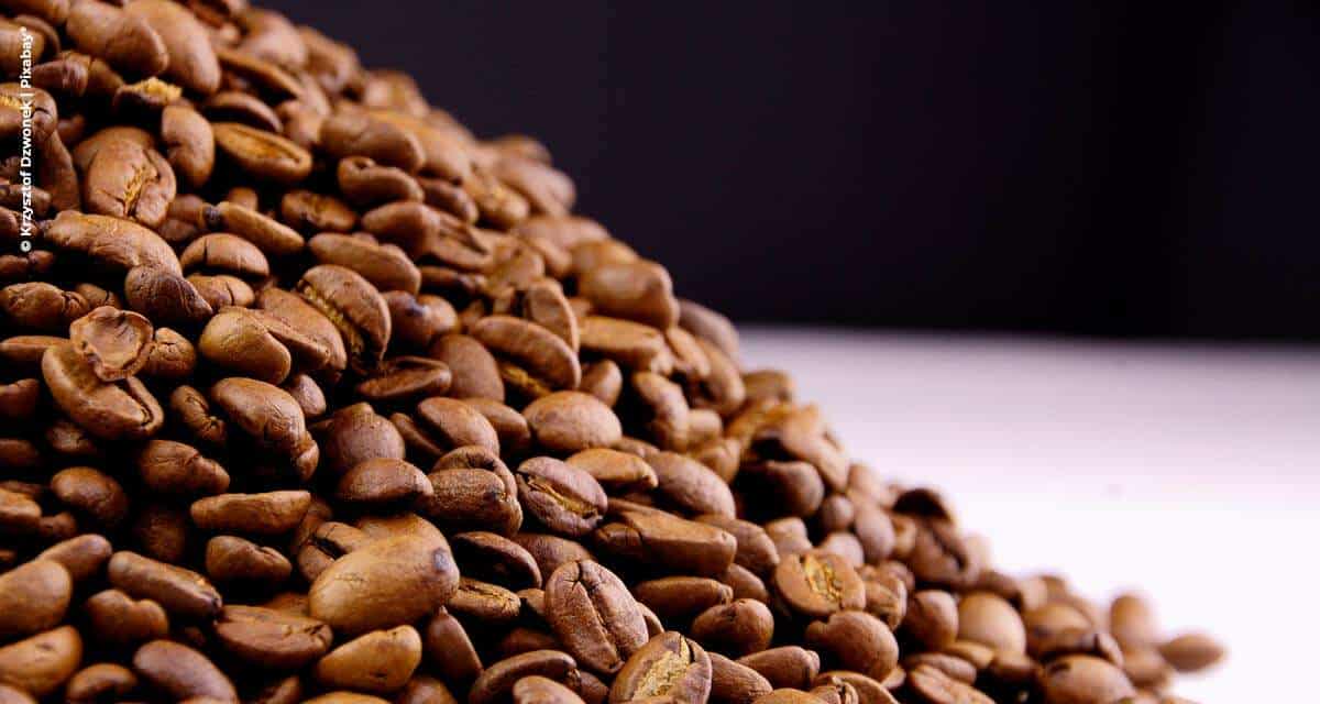 Novo recorde histórico para o mês: exportações de café brasileiro atingem 4,3 milhões de sacas em novembro