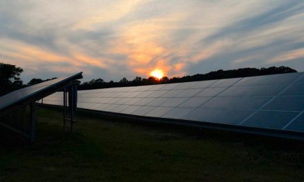 Renovigi estuda venda de parte da operação para expandir no país e ampliar o acesso da população à energia solar