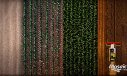 Mosaic Fertilizantes apresenta Linha Performa, evolução na nutrição de plantas