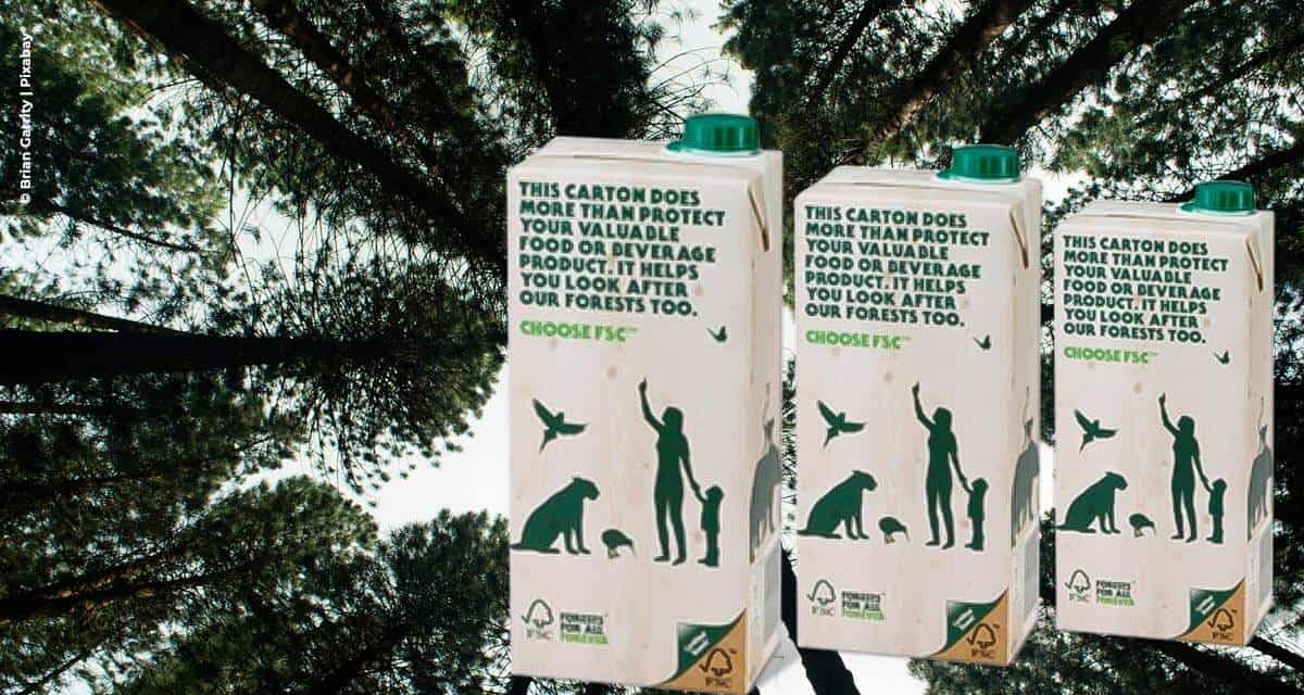 SIG assegura papel cartão 100% certificado FSC® em apoio ao manejo florestal responsável