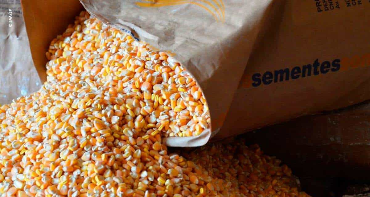 Secretaria de Agricultura e Abastecimento aprimora canais de comercialização de sementes em parceria com revendas agropecuárias