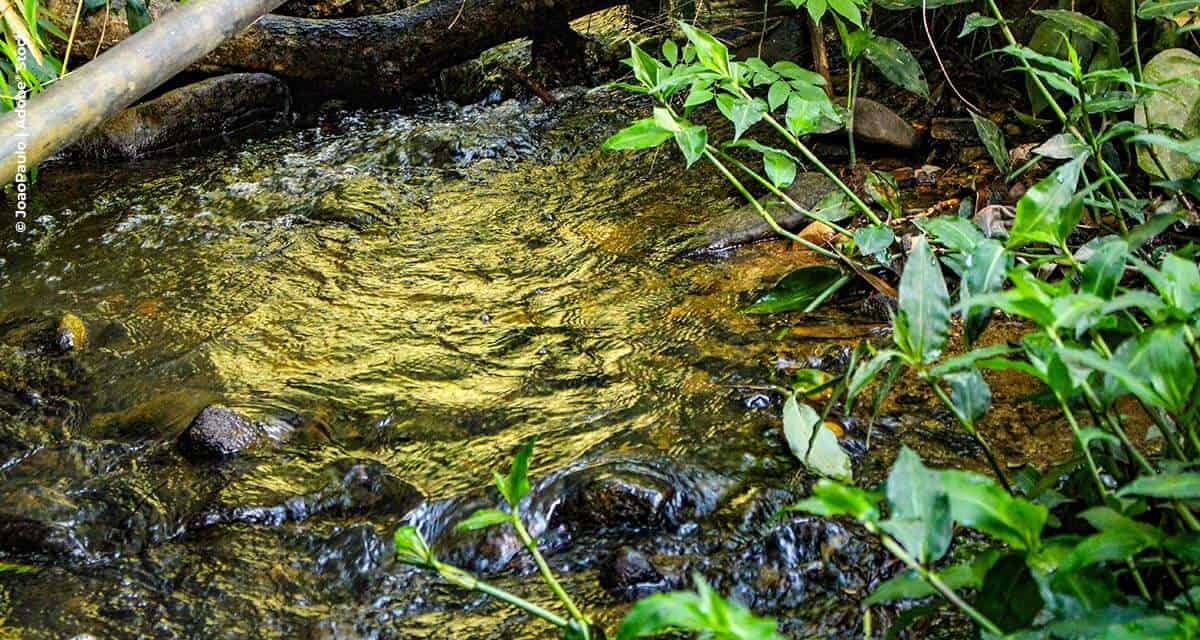 Meio ambiente e agronegócio: unidos por uma produção mais sustentável