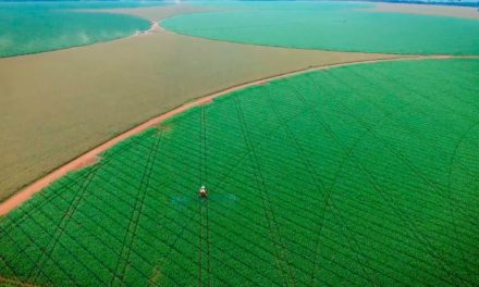 Bayer lança programa de educação em agricultura digital