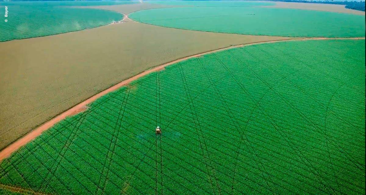 Bayer lança programa de educação em agricultura digital